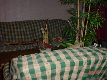  You actually thought I was kidding about the furniture being in the middle of the room? 