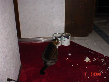  Hobbie is not a happy camper either. 