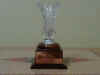 The participating trophy.  Hooray!!! Hooray!!!
