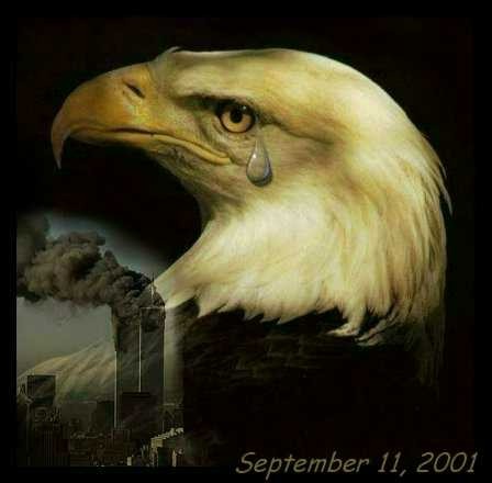 American Eagle with tear in his eye, overlooking World Trade Center Disaster