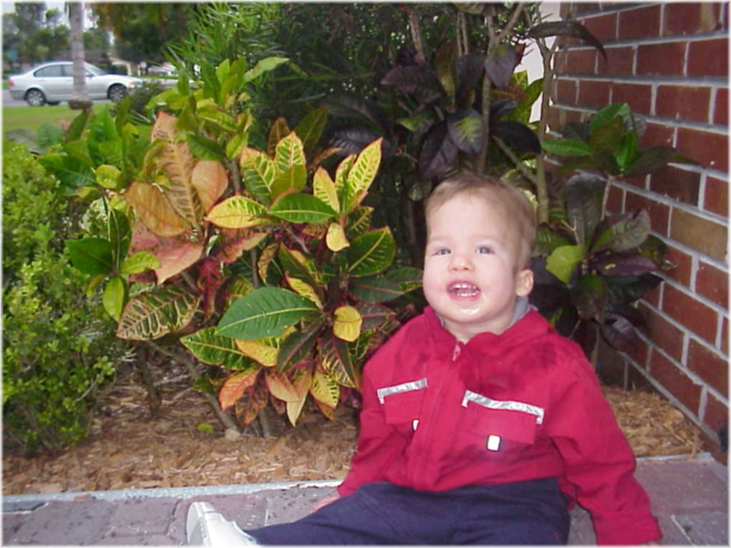 Noah Outside