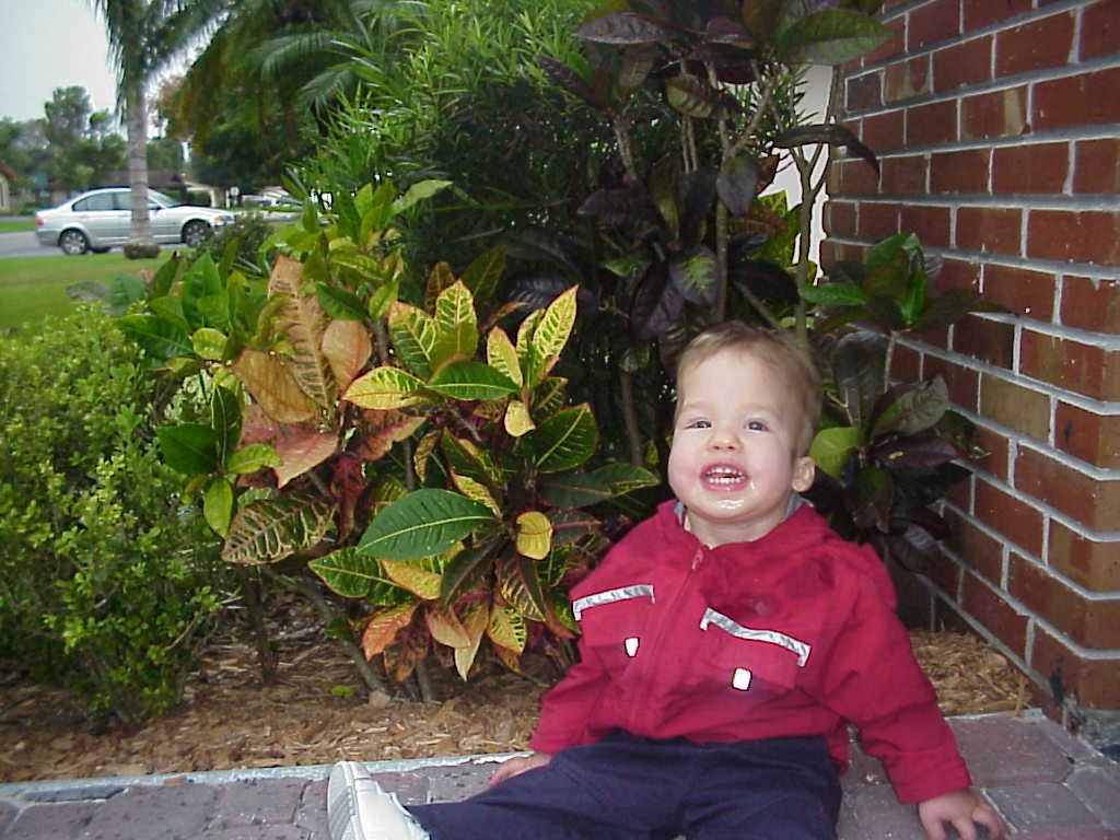 Noah with croton