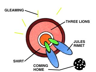 biological interpretation of euro96