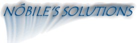 LOGO N&Oacute;BILE'S SOLUTIONS