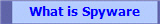 What is Spyware