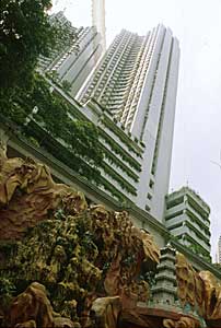 Ronsdale Garden, stands next to the garden by metres
