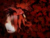 Kisaki-sama