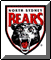 Bears