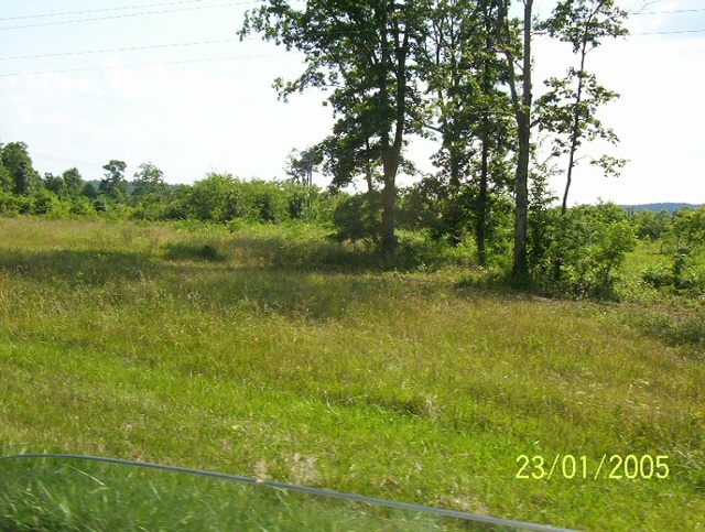 area with a spring and a future pasture