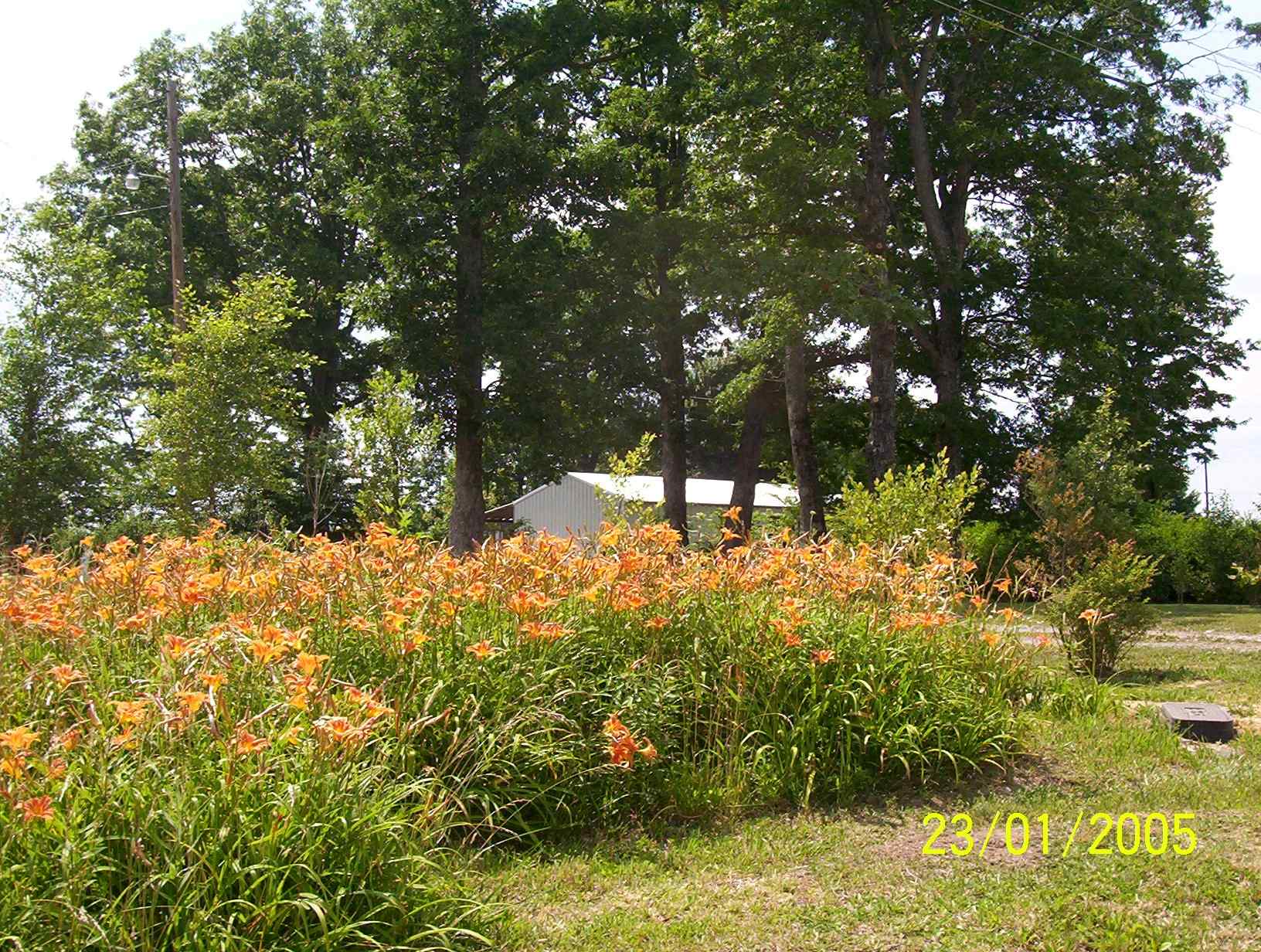 This is a view from the road looking toward the MH with addition