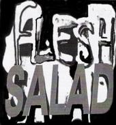 Flesh Salad Fanzine - [10/23/08]