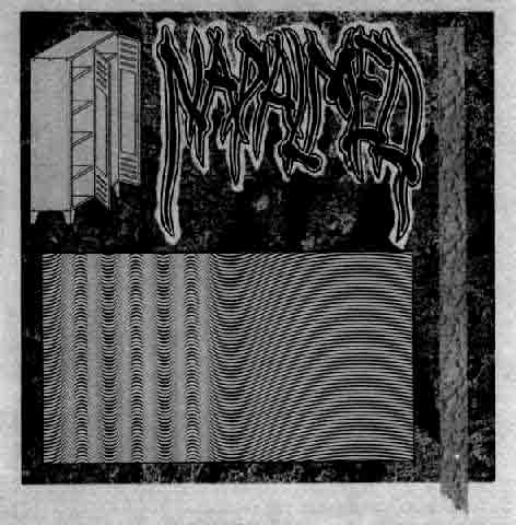 split 7 inch with GOVERNMENT ALPHA, 1998