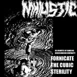 FORNICATE THE CUBIC STERILITY Comp CDr