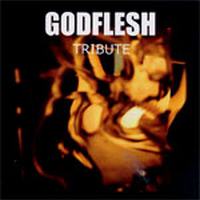 TRIBUTE TO GODFLESH Comp 2 CDr