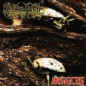 Insects CD (Europe & beyond:16 $ (US)  Germany:5 ?)