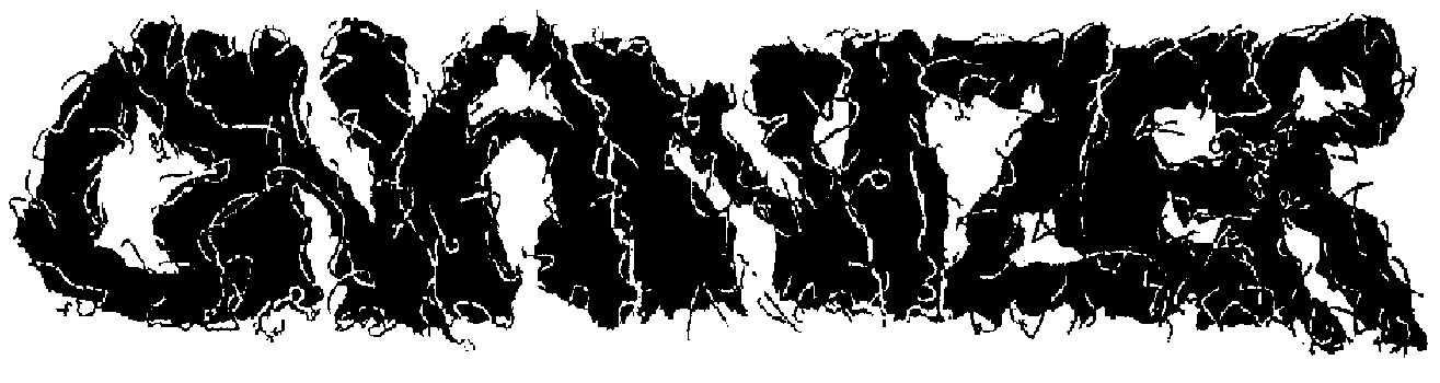 Onanizer - [03/29/06]
