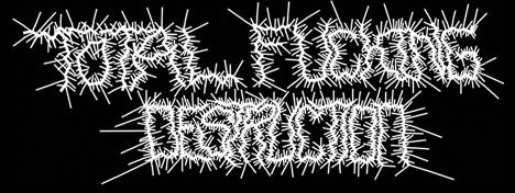Total Fucking Destruction</b> - [01/13/03]