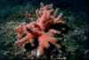 foto2002_image003.jpg (55321 byte)