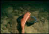foto2002_image009.jpg (37352 byte)