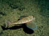 foto2002_slide0004_image008.jpg (46205 byte)