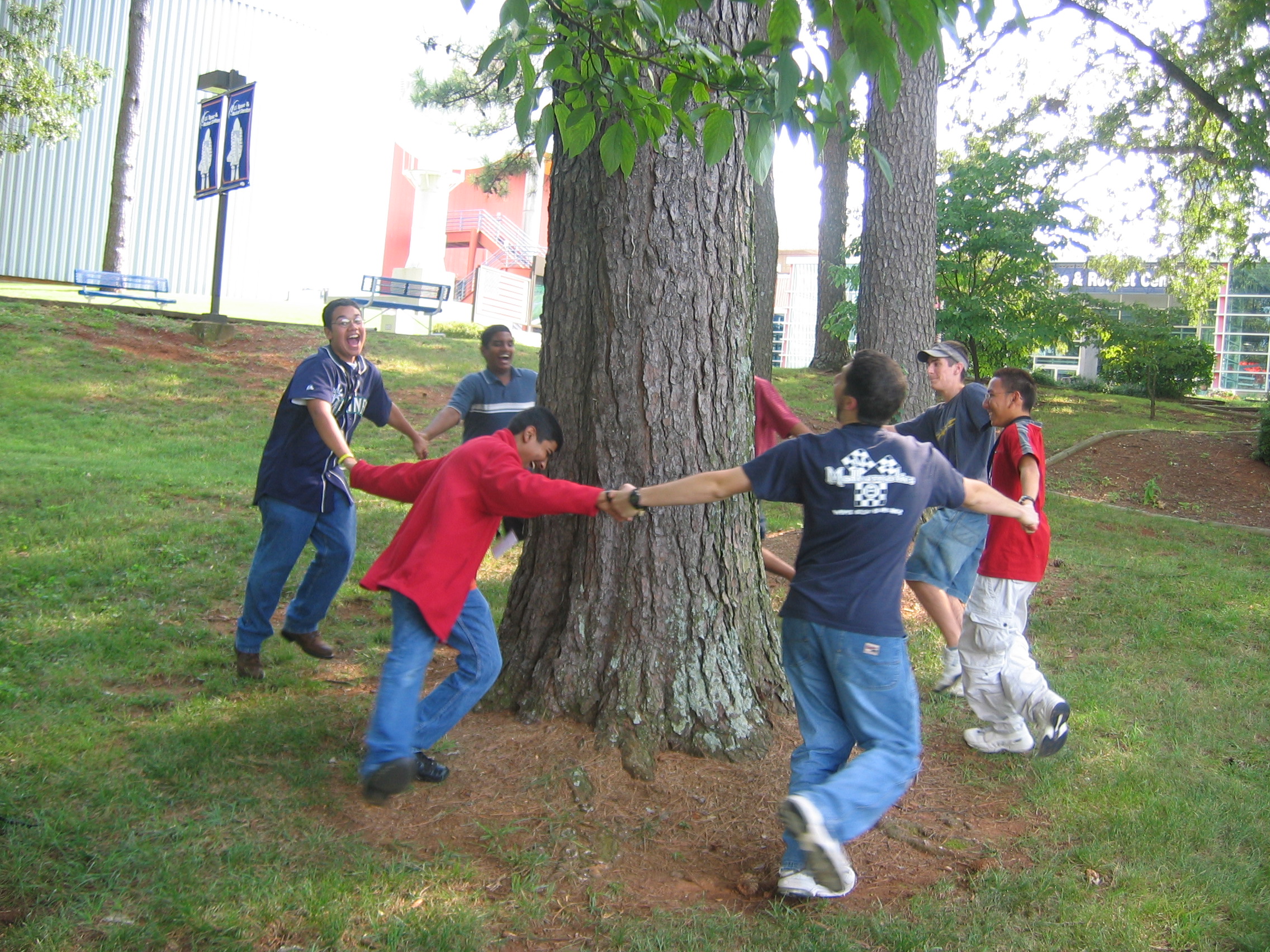 Tree