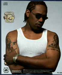 masterp1