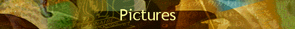 Pictures