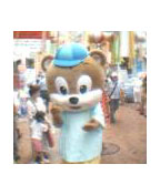 bear