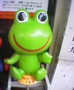 drugstore frog