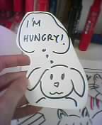 hungry puppy