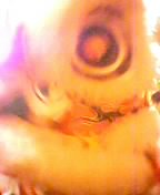 lion dance!