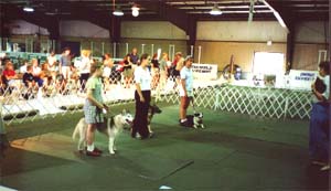 obedience