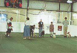 obedience