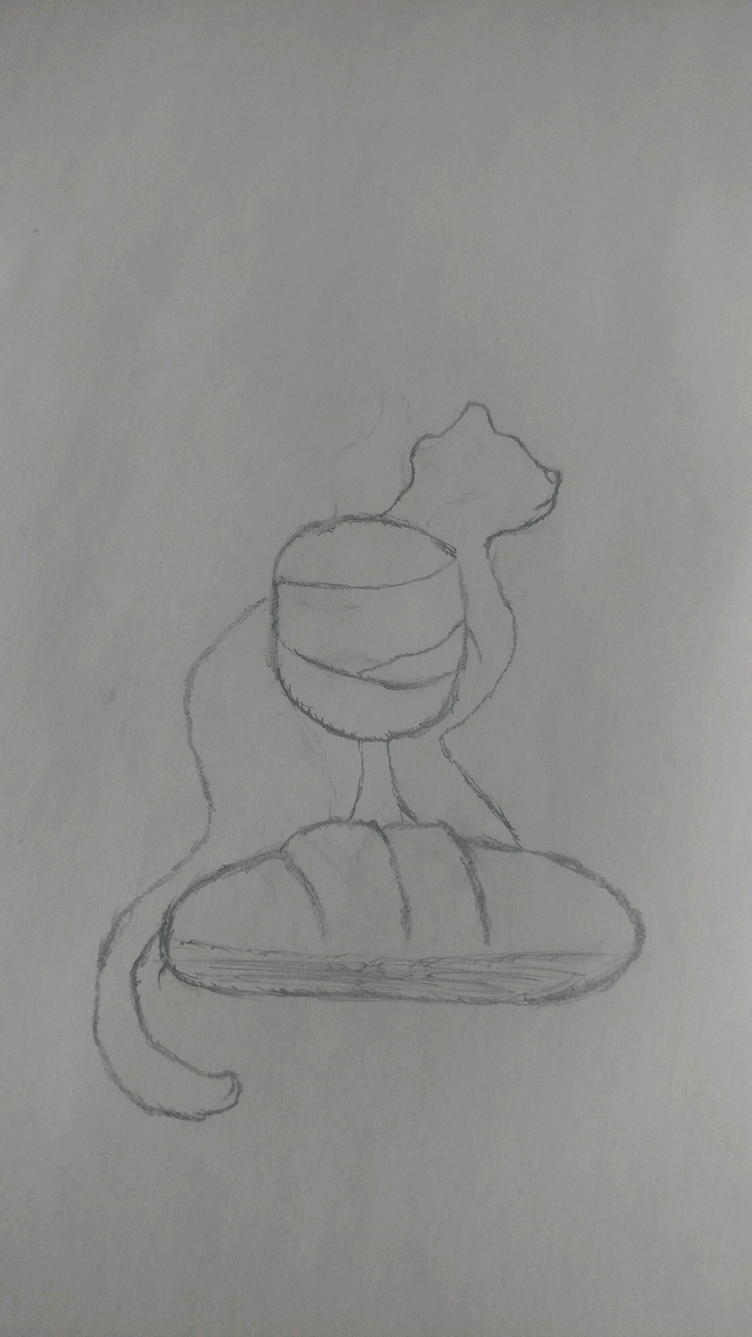 Sketches