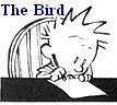 writer