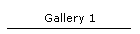 Gallery 1