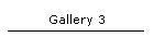 Gallery 3