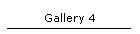 Gallery 4