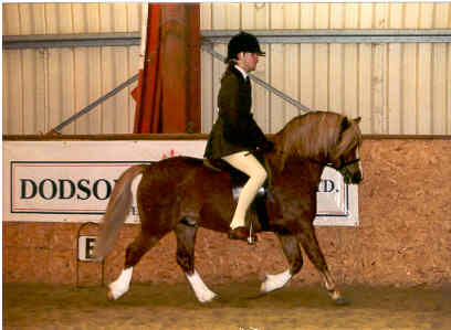 Norash Beauson