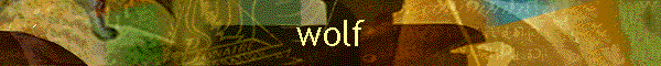 wolf