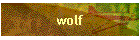 wolf
