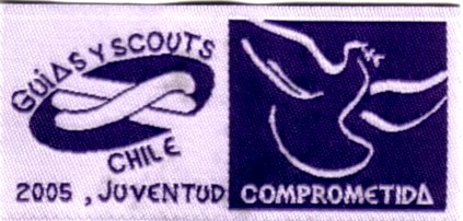 Insignia de Registro Anual 2005