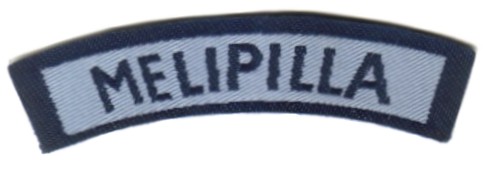 Insignia de Distrito