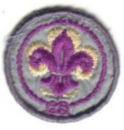 Insignia Institucional