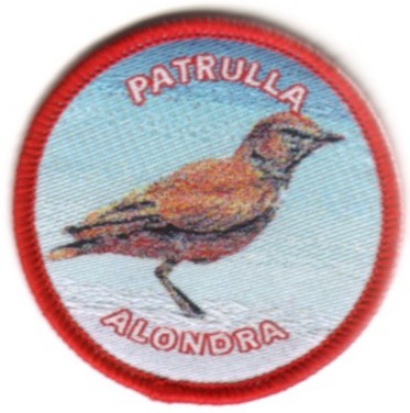 Insignia de Patrulla