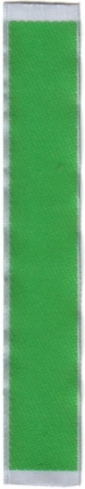 Distintivo de Cargo Scouts