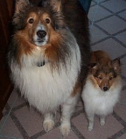 Fletcher & Izzie