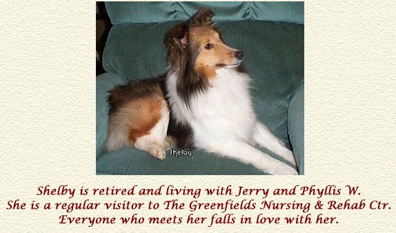 Nor~Lea Shelties