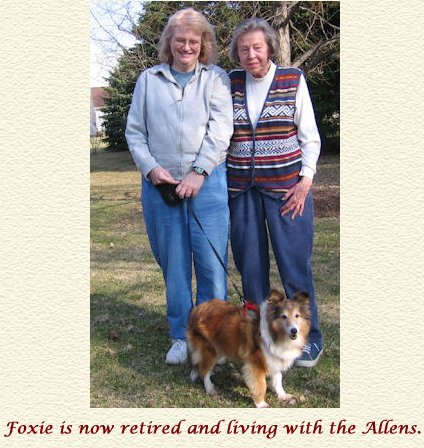 Nor~Lea Shelties