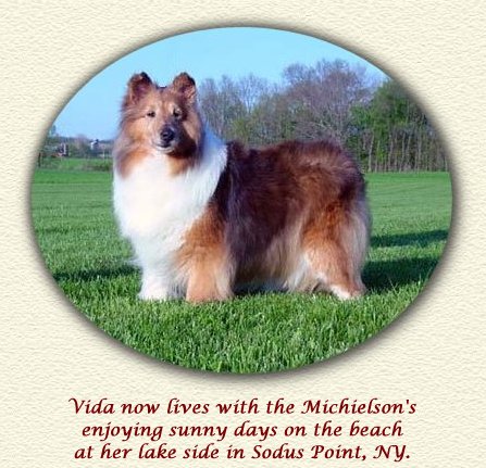 Nor~Lea Shelties